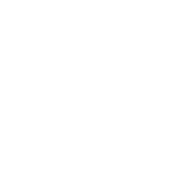Logo White